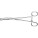 Tonsil Seizing Forceps