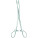 Tonsil Forceps