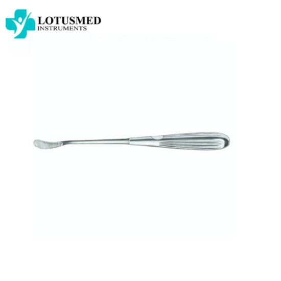  AUFRICHT Bone File