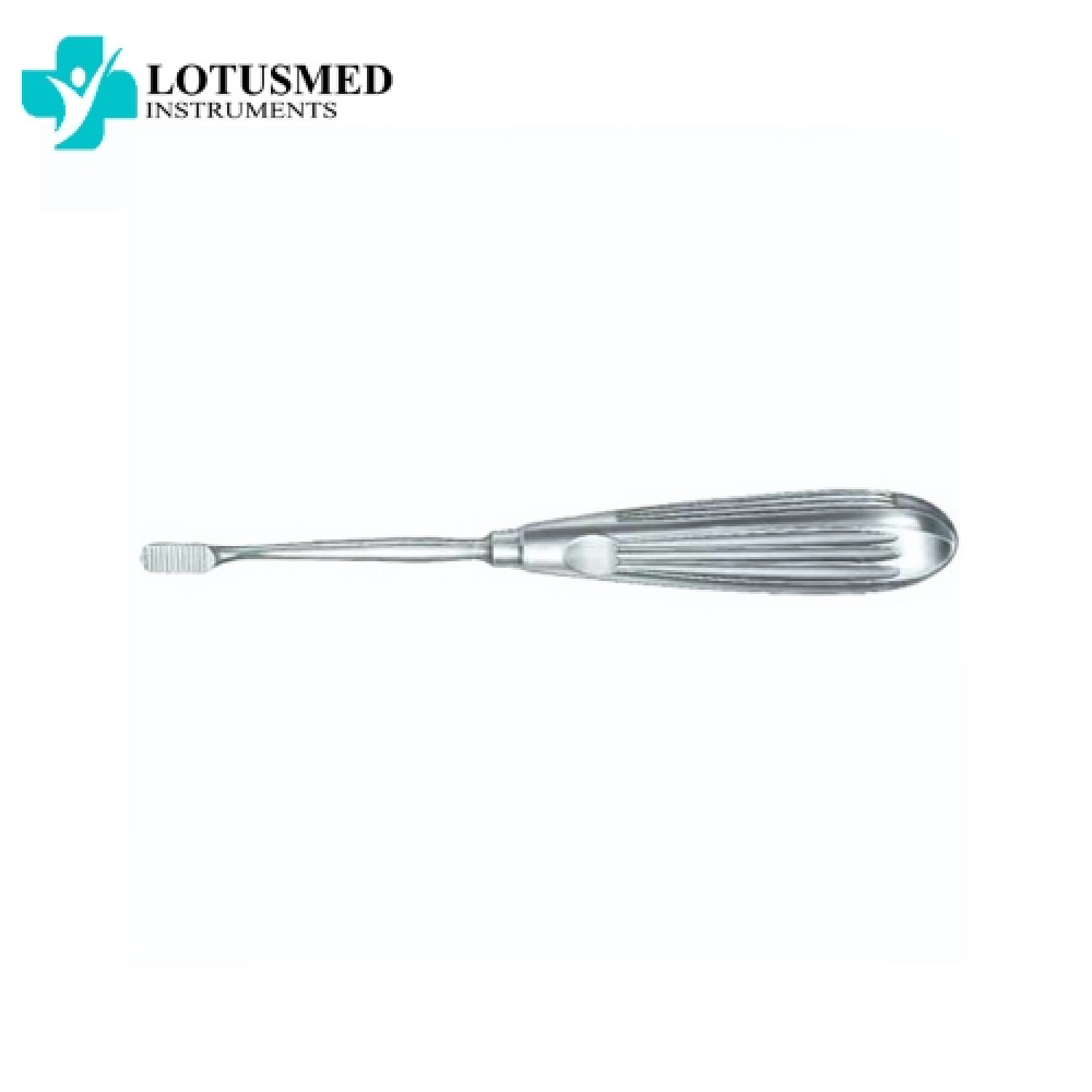 LEWIS Nasal Rasp
