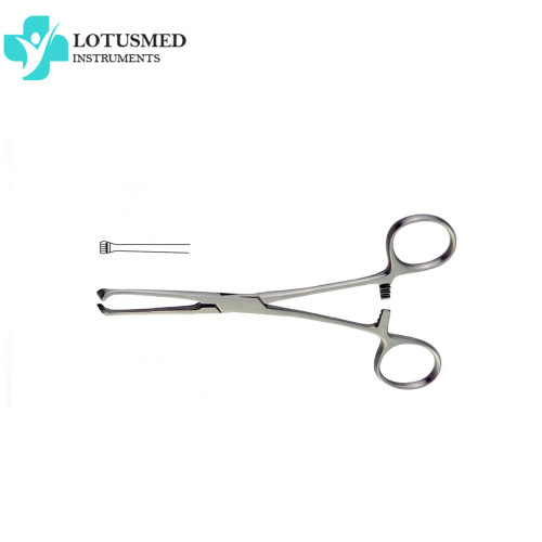Allis Tissue Forceps 