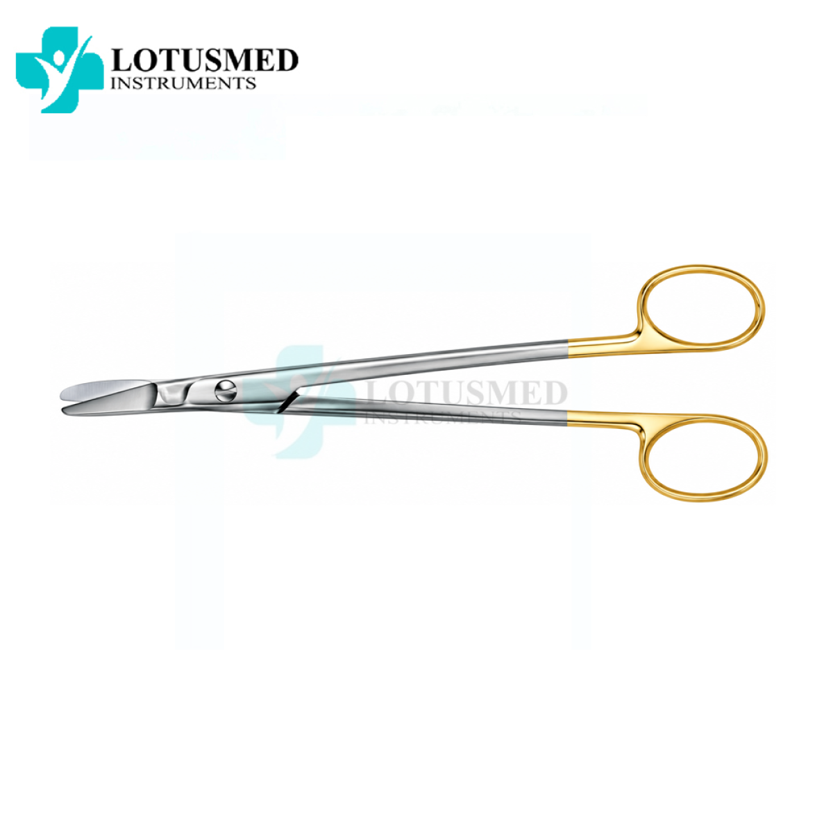 T.C Castanares  Scissors